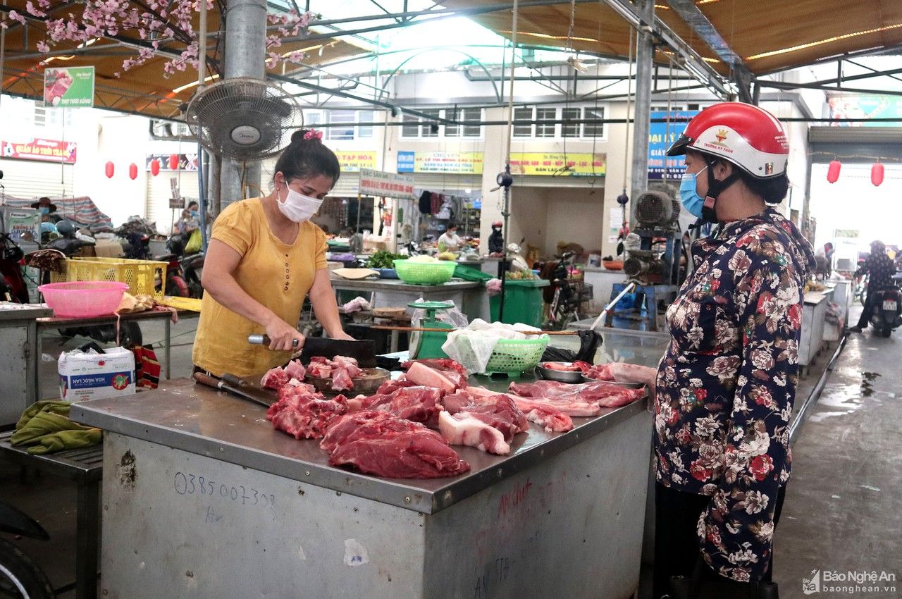 Nghệ An: Giá lợn hơi chạm đáy, nông dân ngại tái đàn