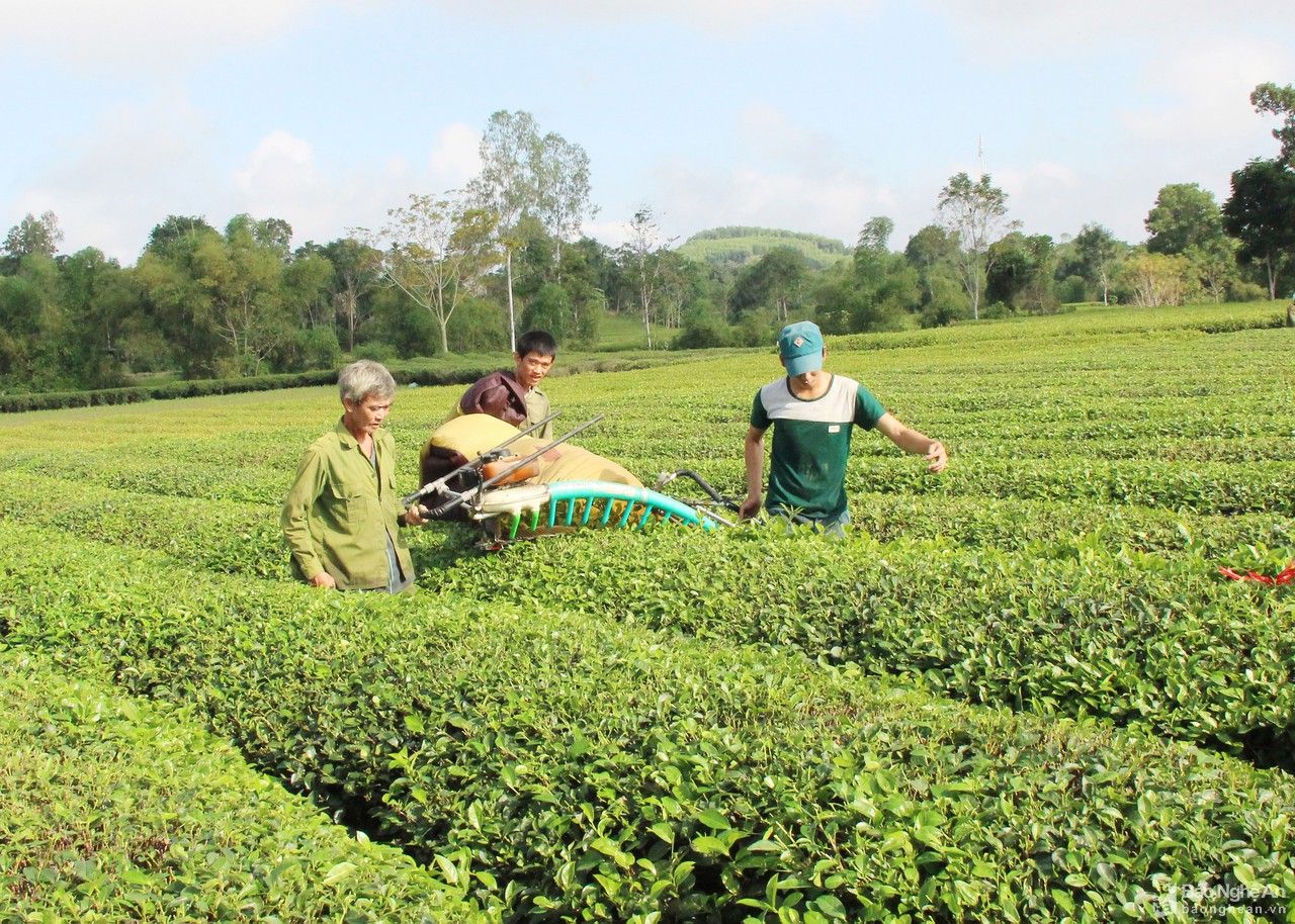 Nghệ An kiên quyết điều chuyển vốn từ các dự án chậm giải ngân sang dự án giải ngân tốt 