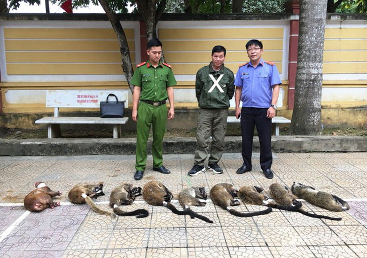 Nghệ An: Siết chặt hoạt động mua bán, nuôi nhốt động vật hoang dã trái phép