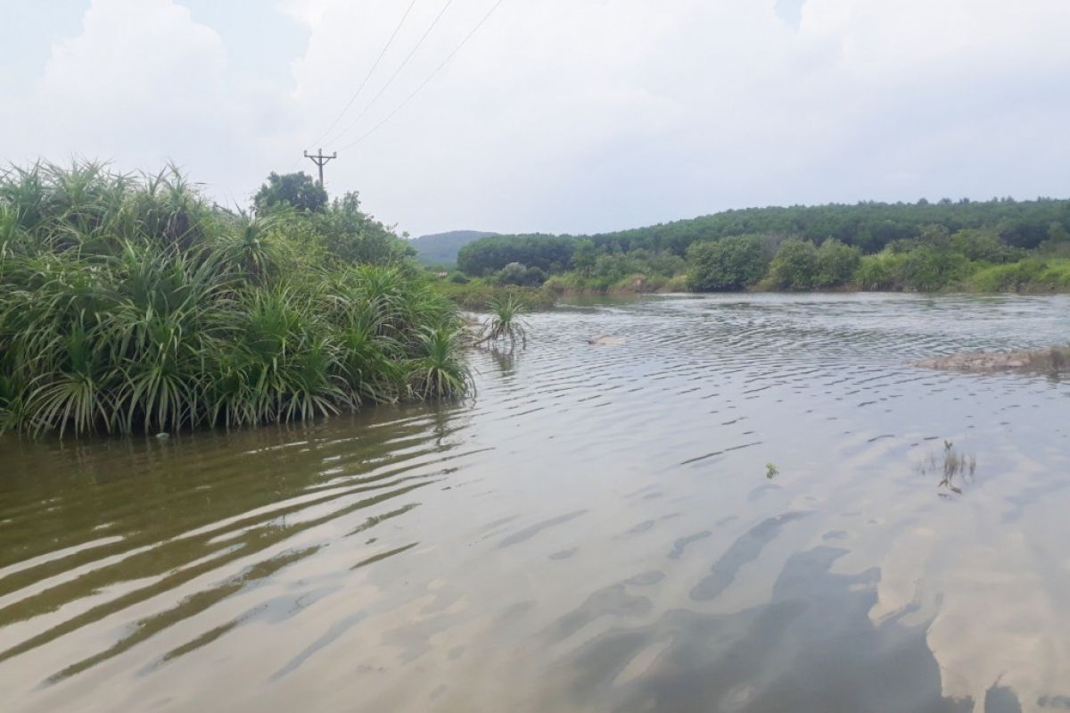 Phát hiện thi thể nam giới trong đầm nuôi cá