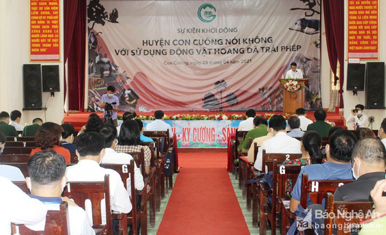 Nghệ An: Siết chặt hoạt động mua bán, nuôi nhốt động vật hoang dã trái phép