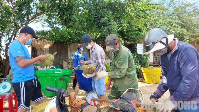 Đắk Lắk: Giám sát người thu mua sầu riêng, test Covid-19 3 ngày 1 lần