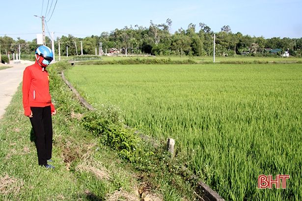 Hệ thống kênh tưới gần 200ha đất nông nghiệp ở xã miền núi Hà Tĩnh xuống cấp nặng