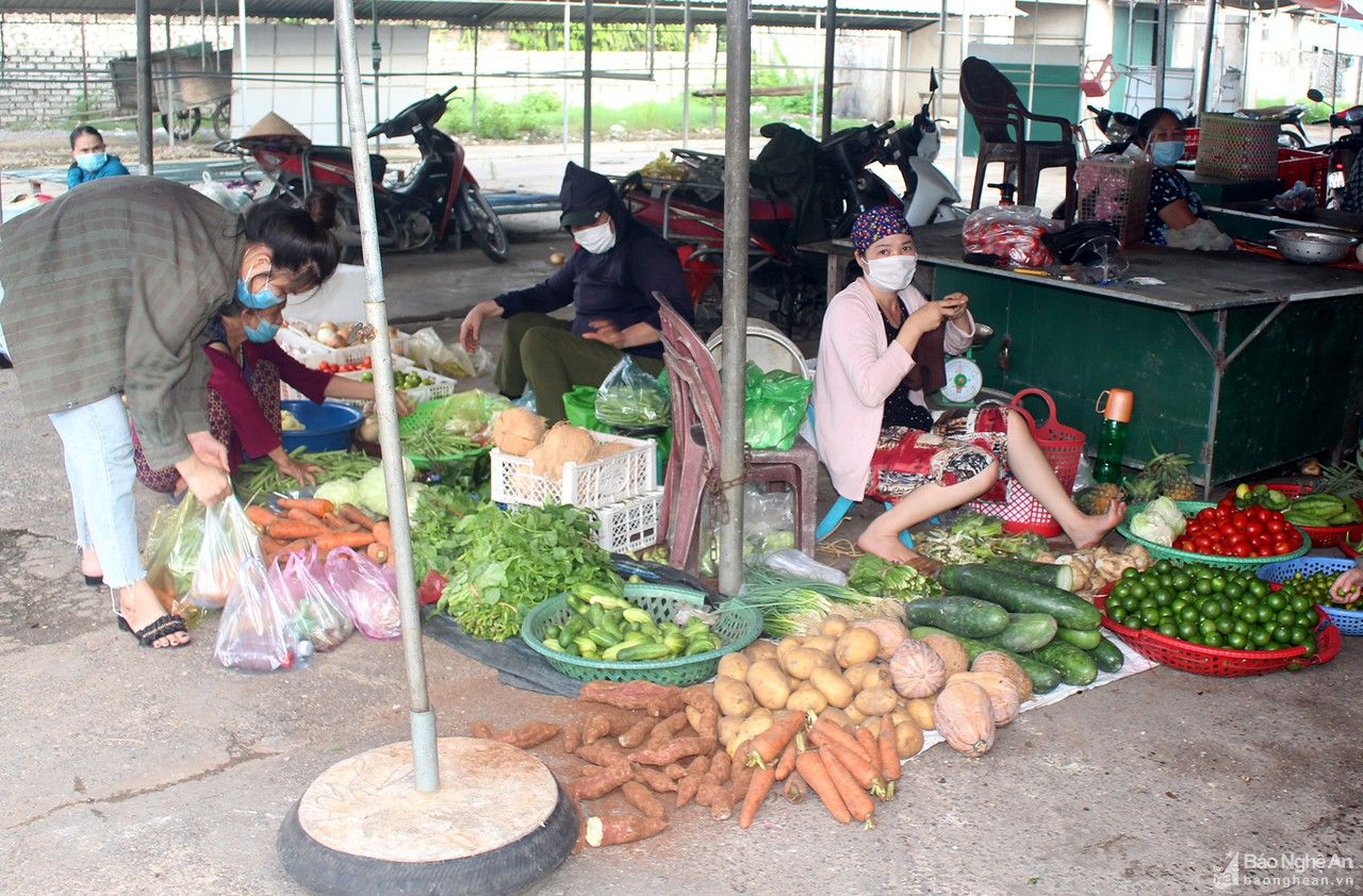 Rau màu Quỳnh Lưu chịu cảnh 