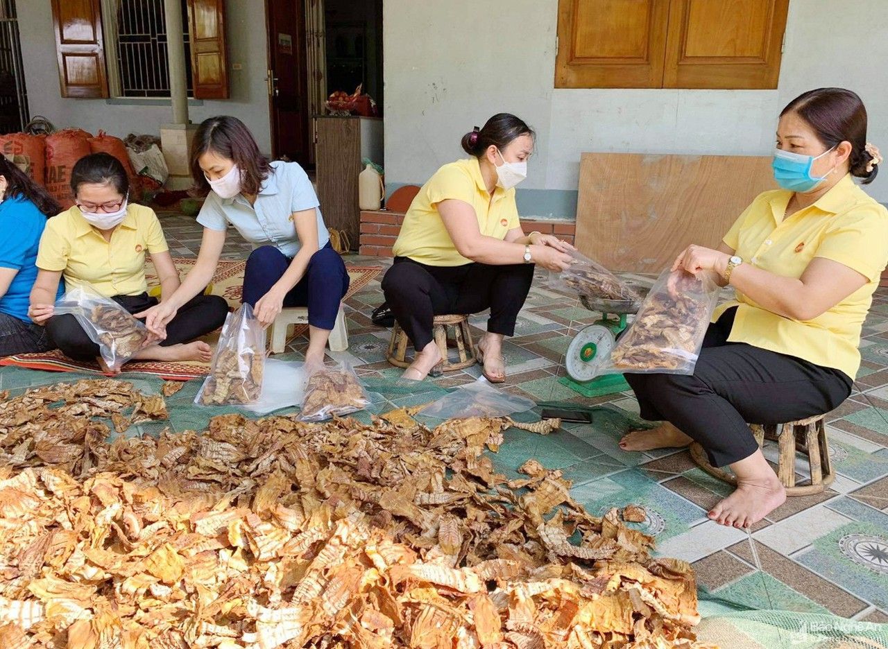 Nghĩa tình người dân xứ Nghệ hướng về thành phố mang tên Bác  ​