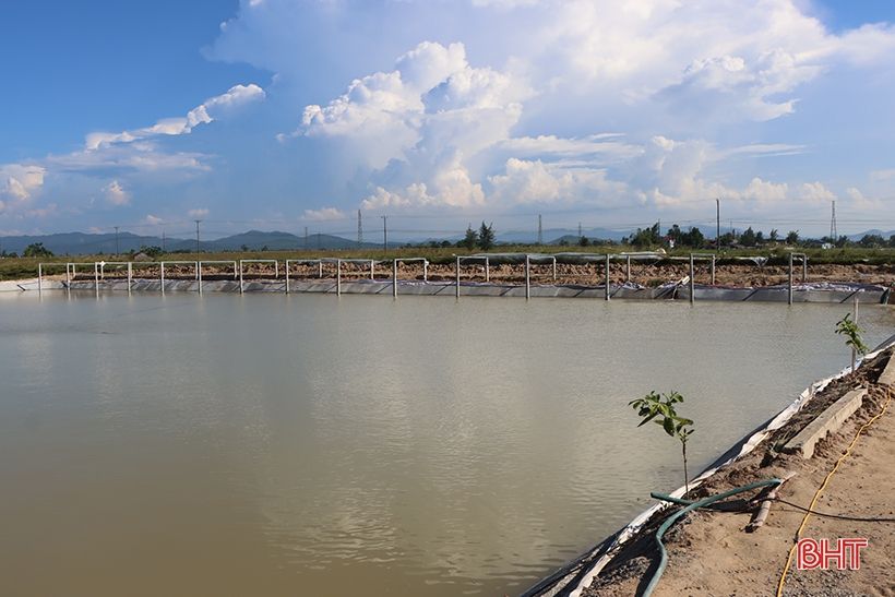 Nông dân xứ Cẩm “biến” ruộng xấu thành mô hình 4 tầng nấc, hứa hẹn hiệu quả cao