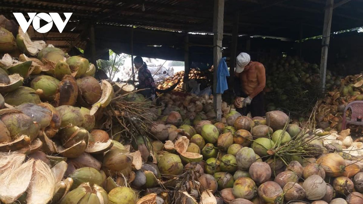 Bến Tre thực hiện “mục tiêu kép” với tinh thần “đồng khởi mới”