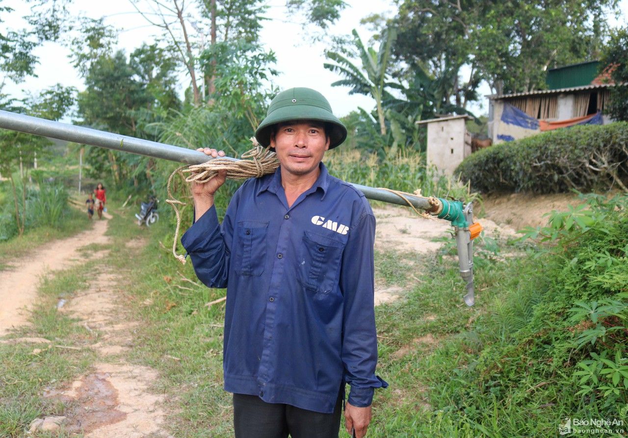 Nắng như đổ lửa, nông dân Nghệ An vật lộn chống 