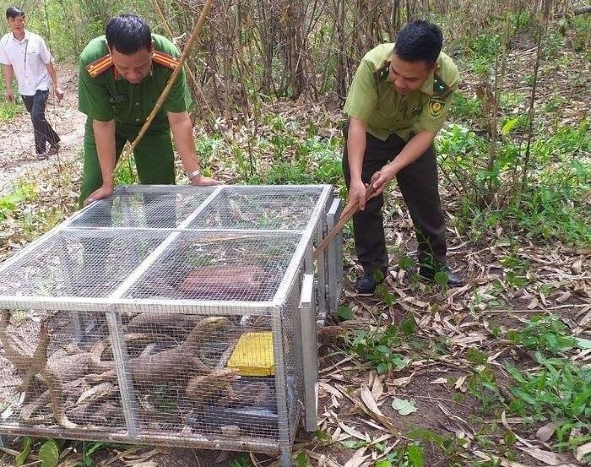 Hai người phụ nữ bị xử phạt hơn 1 tỷ đồng vì buôn bán kỳ đà vân