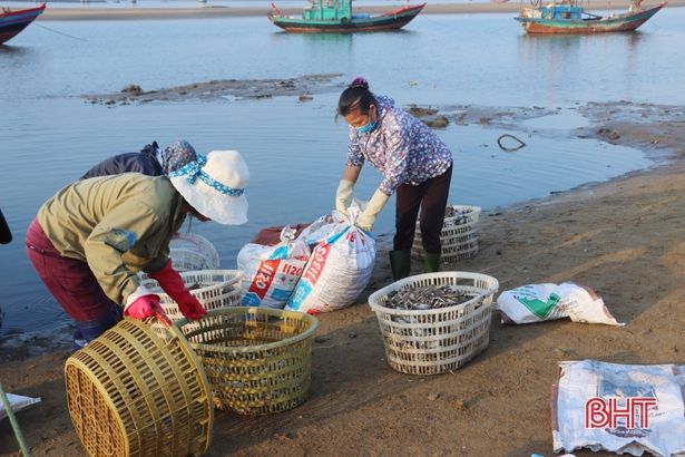 Ngư dân làng biển Cửa Nhượng vượt khó vươn khơi