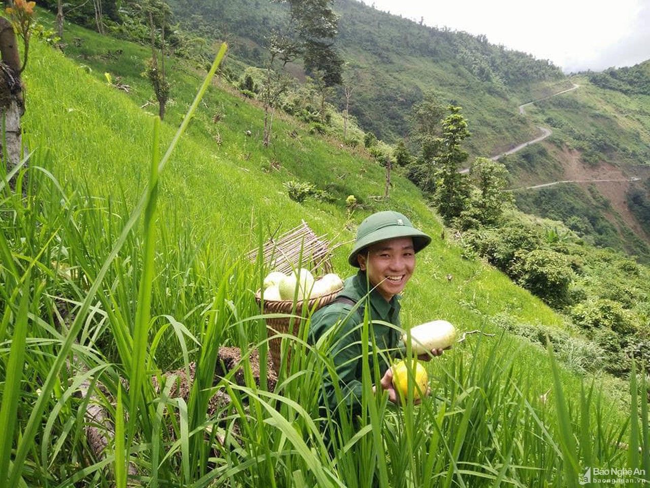 Dưa rẫy siêu 