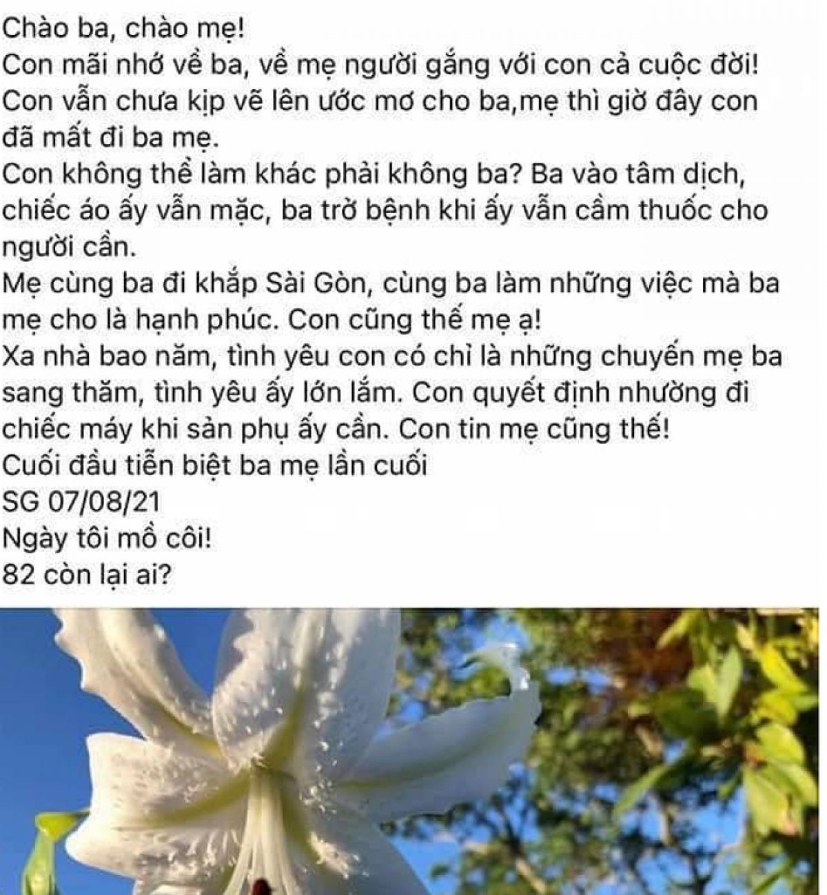 Thanh tra Sở TTTT TP.HCM xác minh tin "bác sĩ rút ống thở của mẹ cứu người"