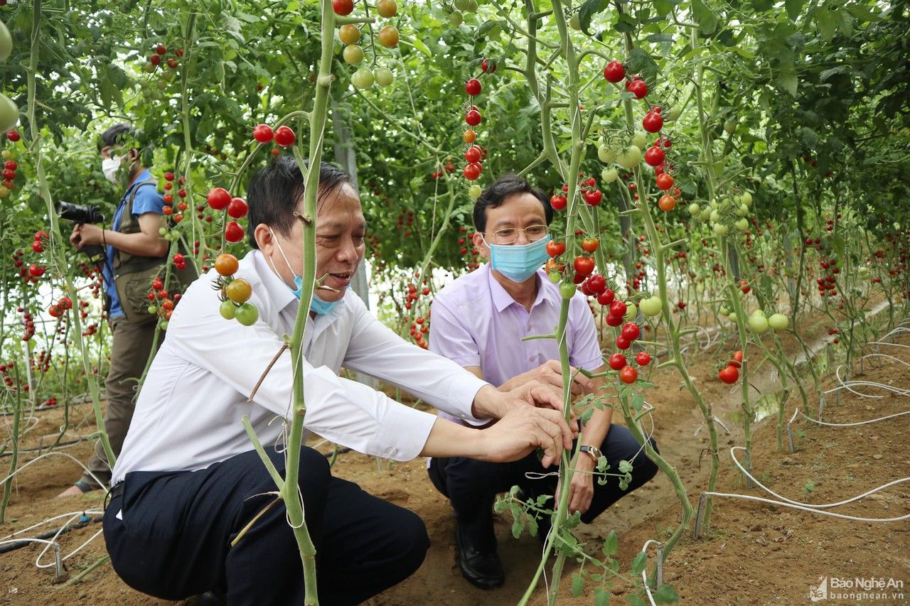 Nghệ An: Hỗ trợ nông dân ứng dụng công nghệ số vào sản xuất nông nghiệp