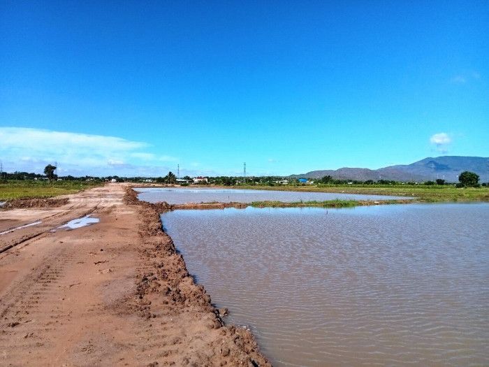 Toàn cảnh thi công hơn 100km cao tốc Vĩnh Hảo - Phan Thiết