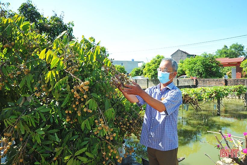 Cộng đồng dân cư giám sát truy xuất nguồn gốc sản xuất rau ở xã nông thôn mới kiểu mẫu Hà Tĩnh