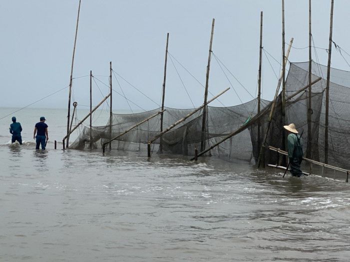 Quảng Ninh: Bãi triều nghìn ha thoát cảnh cọc, lưới giăng kín