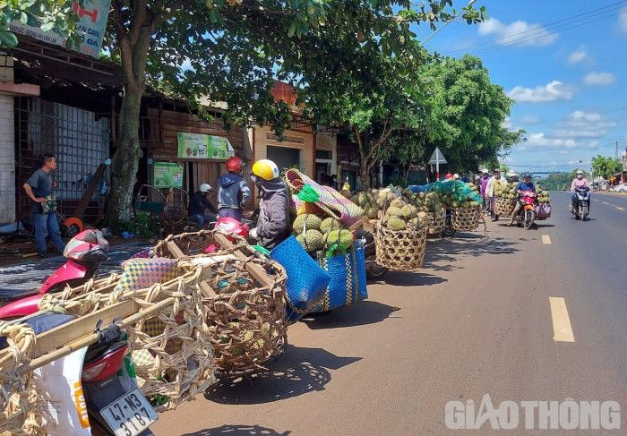 Đắk Lắk: Giám sát người thu mua sầu riêng, test Covid-19 3 ngày 1 lần