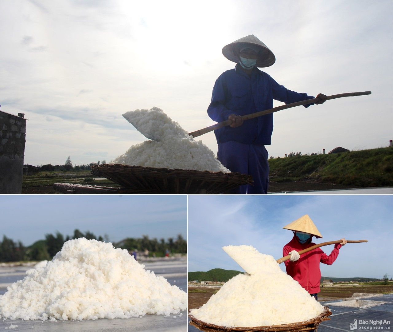 Giá muối thu mua tăng, diêm dân Nghệ An bám nắng sản xuất