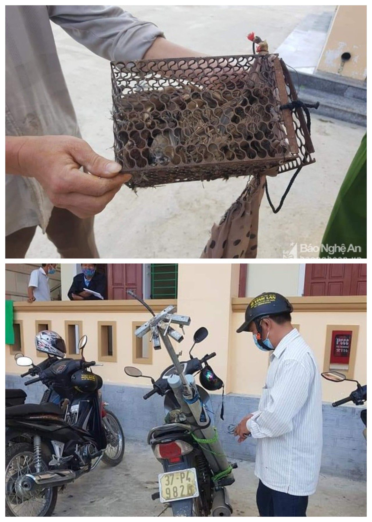 Nghệ An: Siết chặt hoạt động mua bán, nuôi nhốt động vật hoang dã trái phép