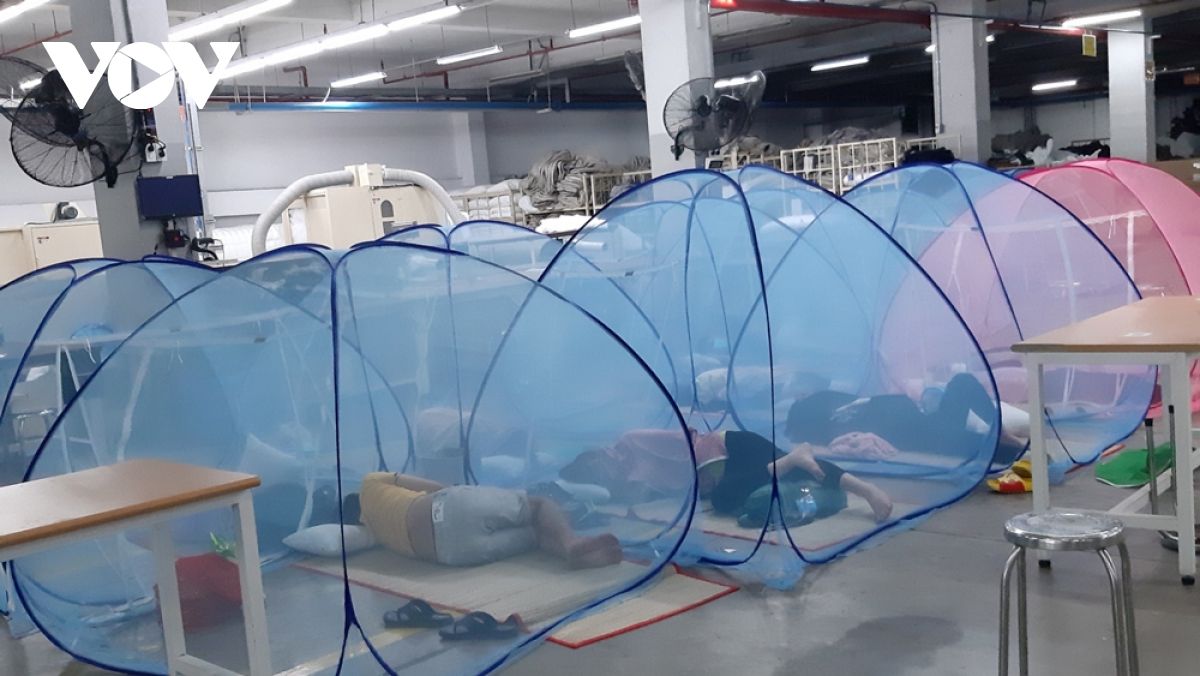 Bình Dương có thêm 81 ca dương tính với SARS-CoV-2 đều là công nhân