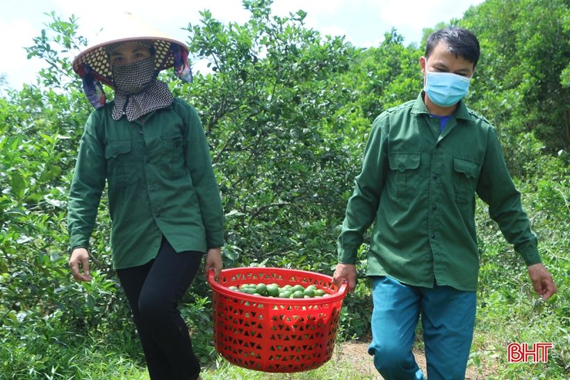 Chanh Vũ Quang sai quả nhưng lại... “rớt” giá, ế hàng!