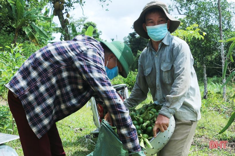 Chanh Vũ Quang sai quả nhưng lại... “rớt” giá, ế hàng!