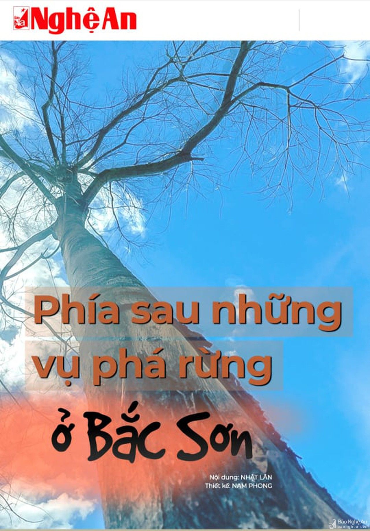 Không khởi tố vụ phá rừng ở xã Bắc Sơn?!!!