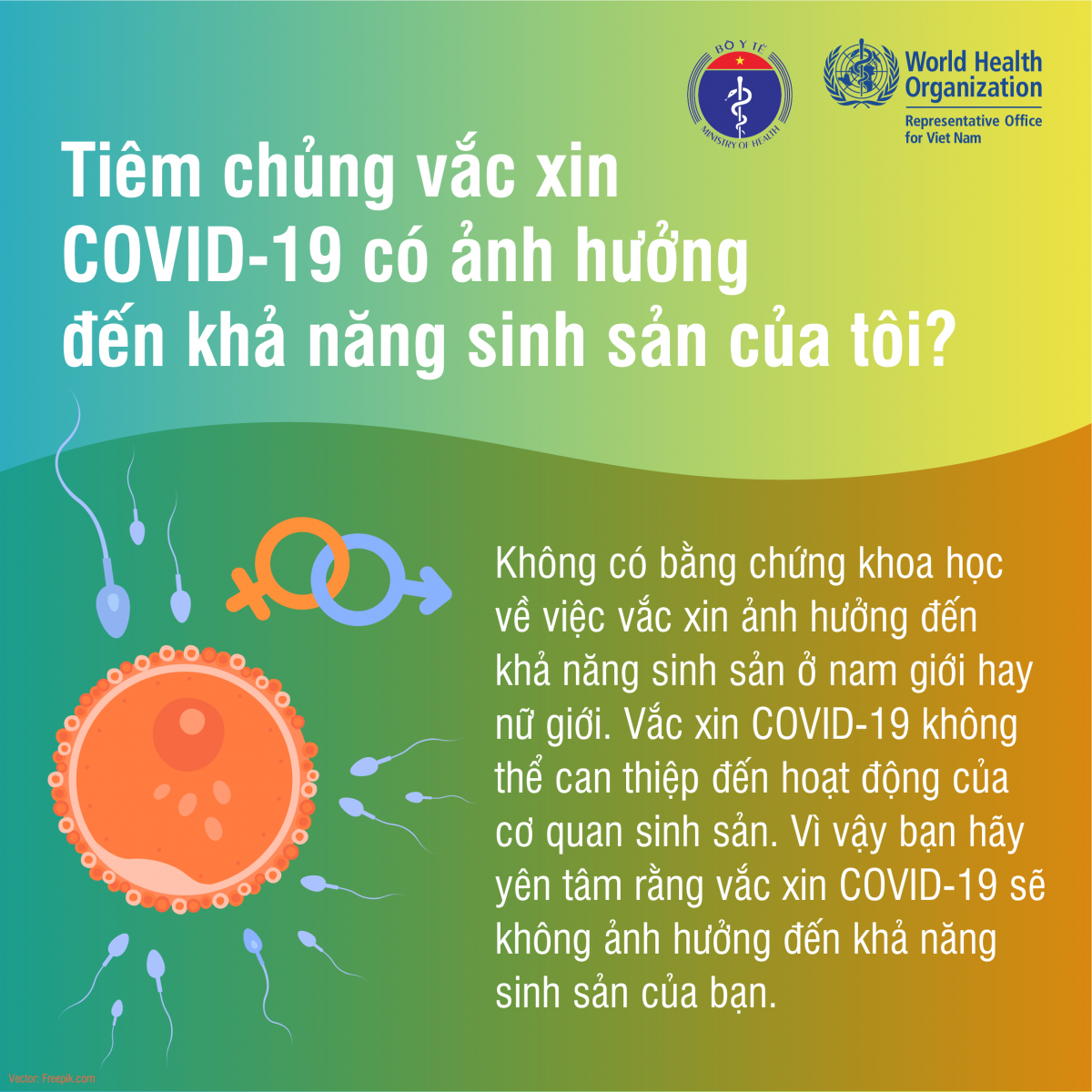 Tiêm vaccine COVID-19 có ảnh hưởng đến khả năng sinh sản?