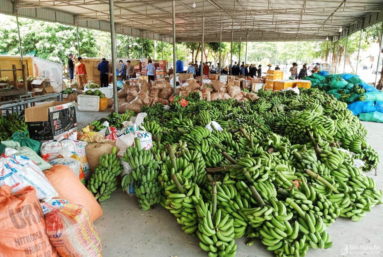 Bộ trưởng Giao thông vận tải yêu cầu đảm bảo đưa hàng hóa đến bà con các tỉnh phía Nam nhanh nhất