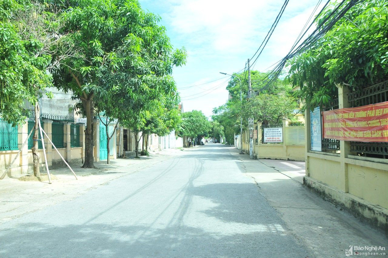 Quang cảnh 