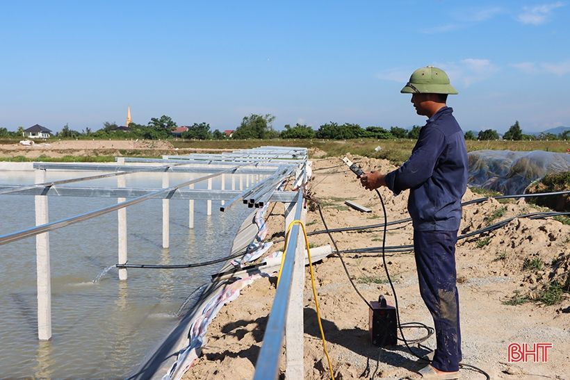 Nông dân xứ Cẩm “biến” ruộng xấu thành mô hình 4 tầng nấc, hứa hẹn hiệu quả cao