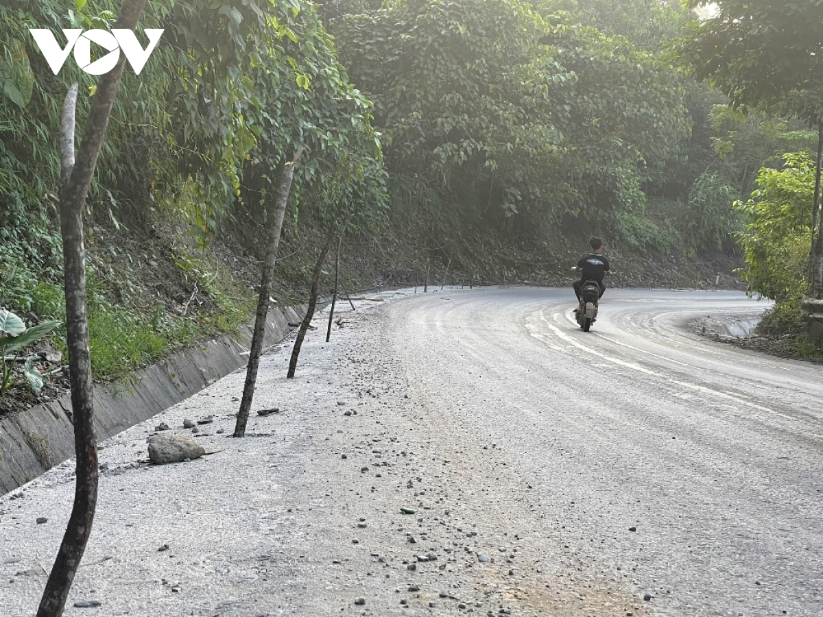 Bất an trước hàng loạt “cây chông” trên tỉnh lộ 171 ở Yên Bái