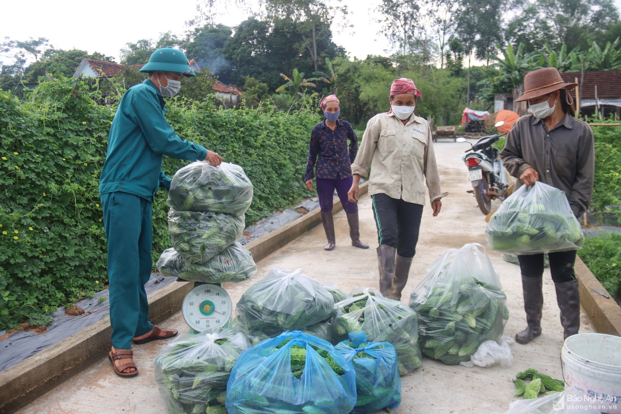 Bộ Chỉ huy Quân sự tỉnh thu mua nông sản phục vụ cho 