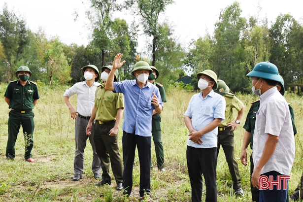 Yêu cầu các địa phương ở Hà Tĩnh ngăn chặn triệt để tình trạng đánh bắt, mua bán chim tự nhiên