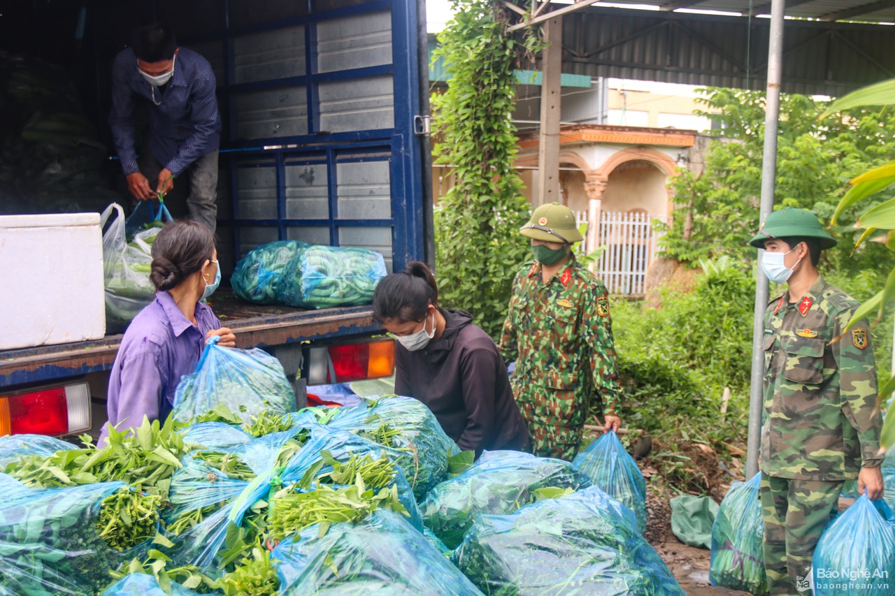 Bộ Chỉ huy Quân sự tỉnh thu mua nông sản phục vụ cho 