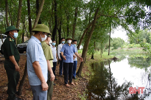 Yêu cầu các địa phương ở Hà Tĩnh ngăn chặn triệt để tình trạng đánh bắt, mua bán chim tự nhiên