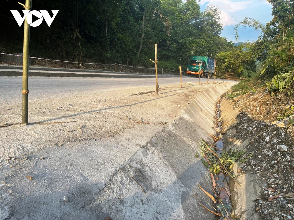 Bất an trước hàng loạt “cây chông” trên tỉnh lộ 171 ở Yên Bái