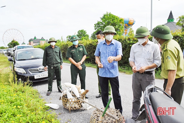 Yêu cầu các địa phương ở Hà Tĩnh ngăn chặn triệt để tình trạng đánh bắt, mua bán chim tự nhiên