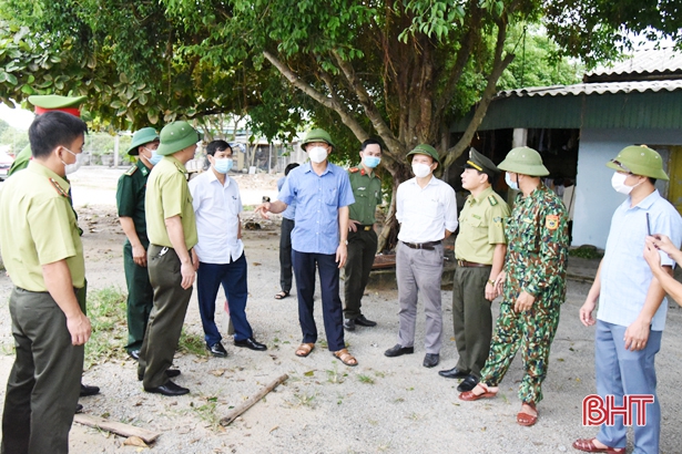 Yêu cầu các địa phương ở Hà Tĩnh ngăn chặn triệt để tình trạng đánh bắt, mua bán chim tự nhiên