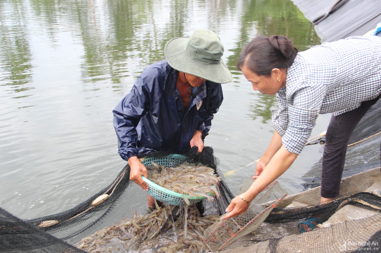 Các địa phương ven biển Nghệ An ứng phó với bão Conson