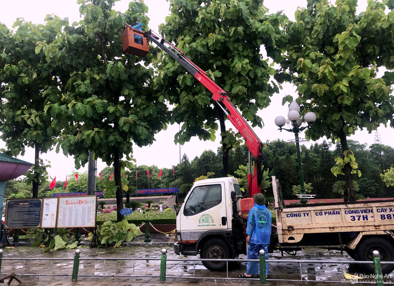 TP. Vinh gấp rút cắt tỉa hàng ngàn cây xanh trước khi bão Conson đổ bộ