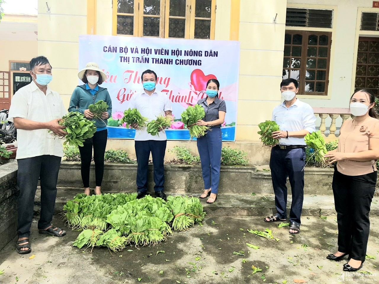 Nông dân Thanh Chương hỗ trợ thành phố Vinh 3 tấn rau xanh