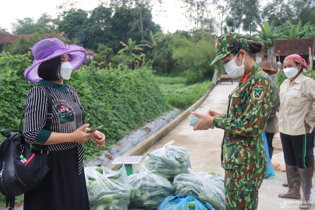 Bộ Chỉ huy Quân sự tỉnh thu mua nông sản phục vụ cho 