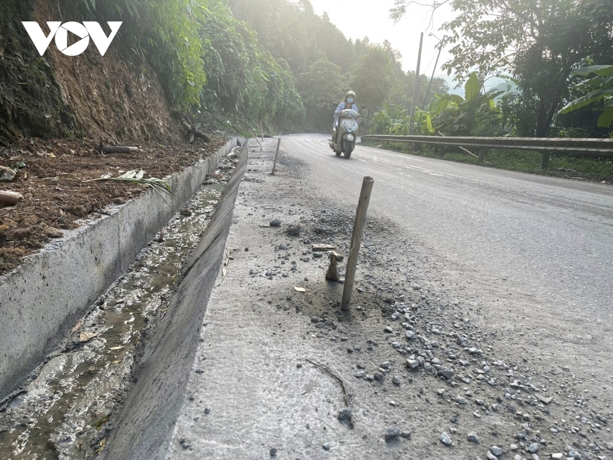 Bất an trước hàng loạt “cây chông” trên tỉnh lộ 171 ở Yên Bái