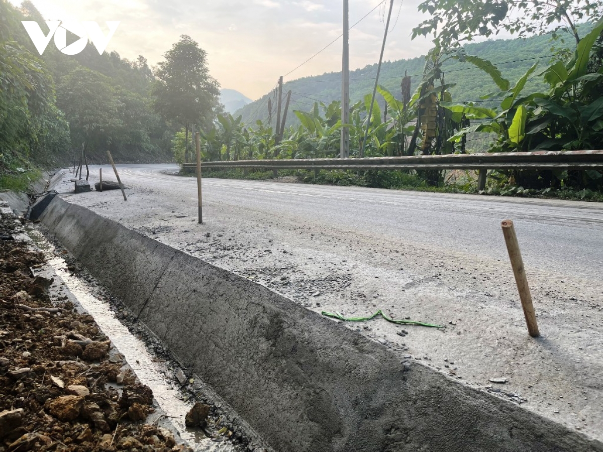 Bất an trước hàng loạt “cây chông” trên tỉnh lộ 171 ở Yên Bái