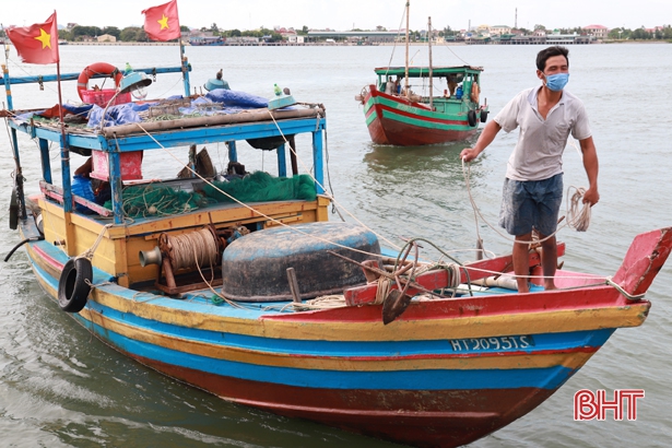 Ngư dân Nghi Xuân “trúng đậm” mực ống