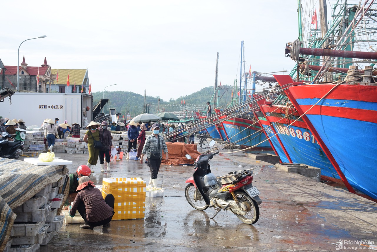 Nghệ An chủ động đưa tàu thuyền về bờ tránh bão Conson