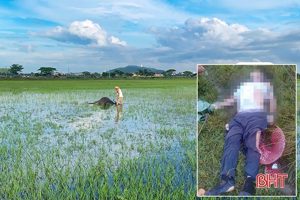 Hà Tĩnh: Người đàn ông tử vong khi đi chăn trâu nghi bị sét đánh