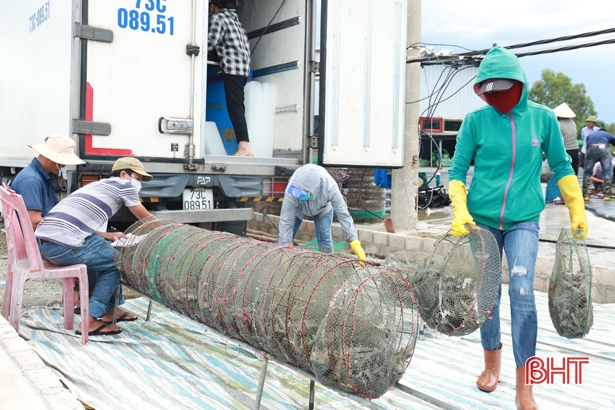 Gần 16 tấn tôm chưa xuất bán được, người dân Nghi Xuân lo “mất trắng” vì mưa bão