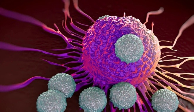 t-cell-attacking-virus-shutterstock-1636601763.jpg
